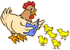 chicken-reading-to-chicks1